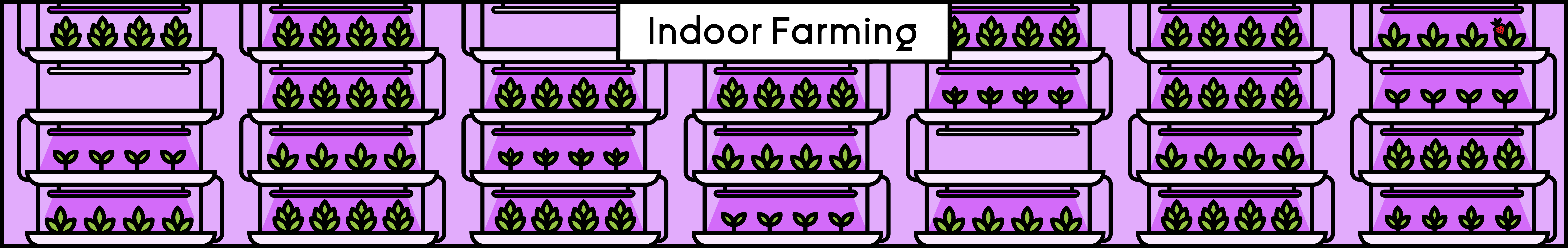 Indoor Farming